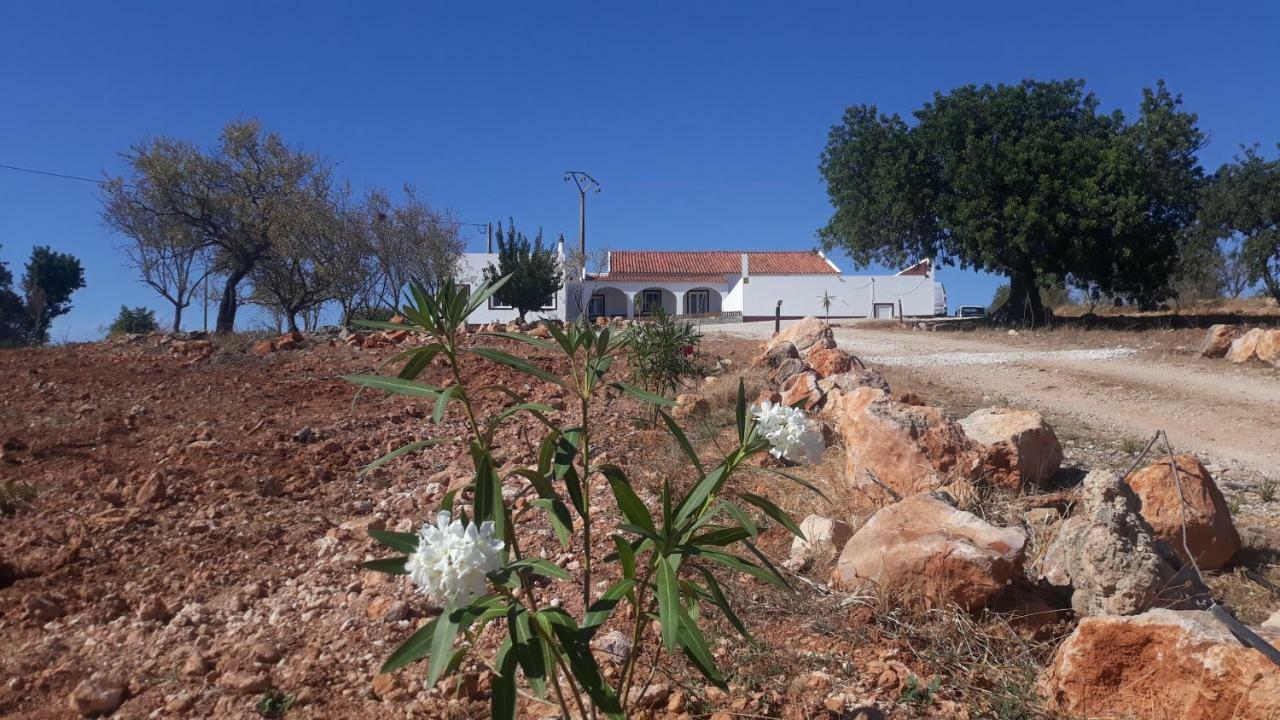 הוילה אלבופיירה Quinta Catarina מראה חיצוני תמונה